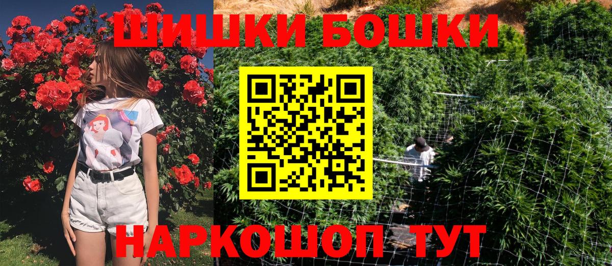 Бошки Шишки семена Лесной